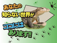 Monitor Park NEO《モニターパーク ネオ》